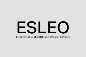 Understanding the ESLEO Course: Curriculum and Learning Objectives