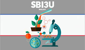 SBI3U – Grade 11 Biology